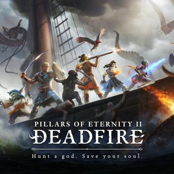 Купить Pillars of Eternity II: Deadfire
